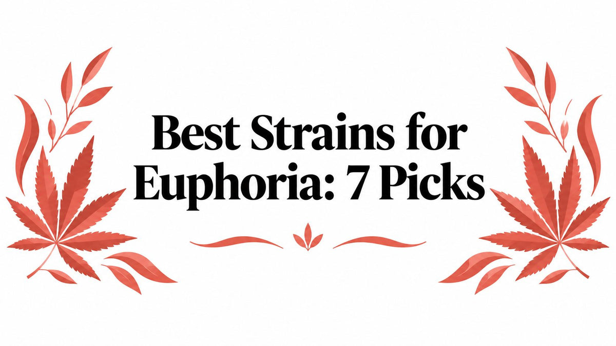 Best Strains for Euphoria: 7 Picks