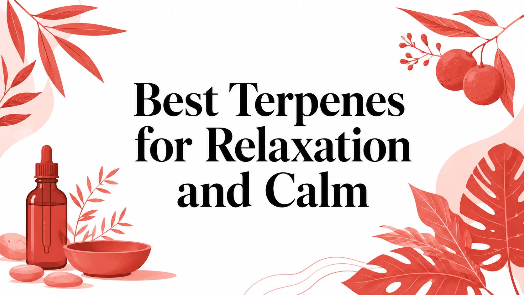 Best Terpenes for Relaxation and Calm
