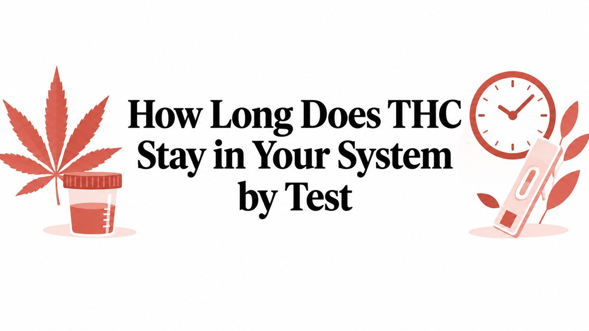 How Long Does THC Stay in Your System by Test