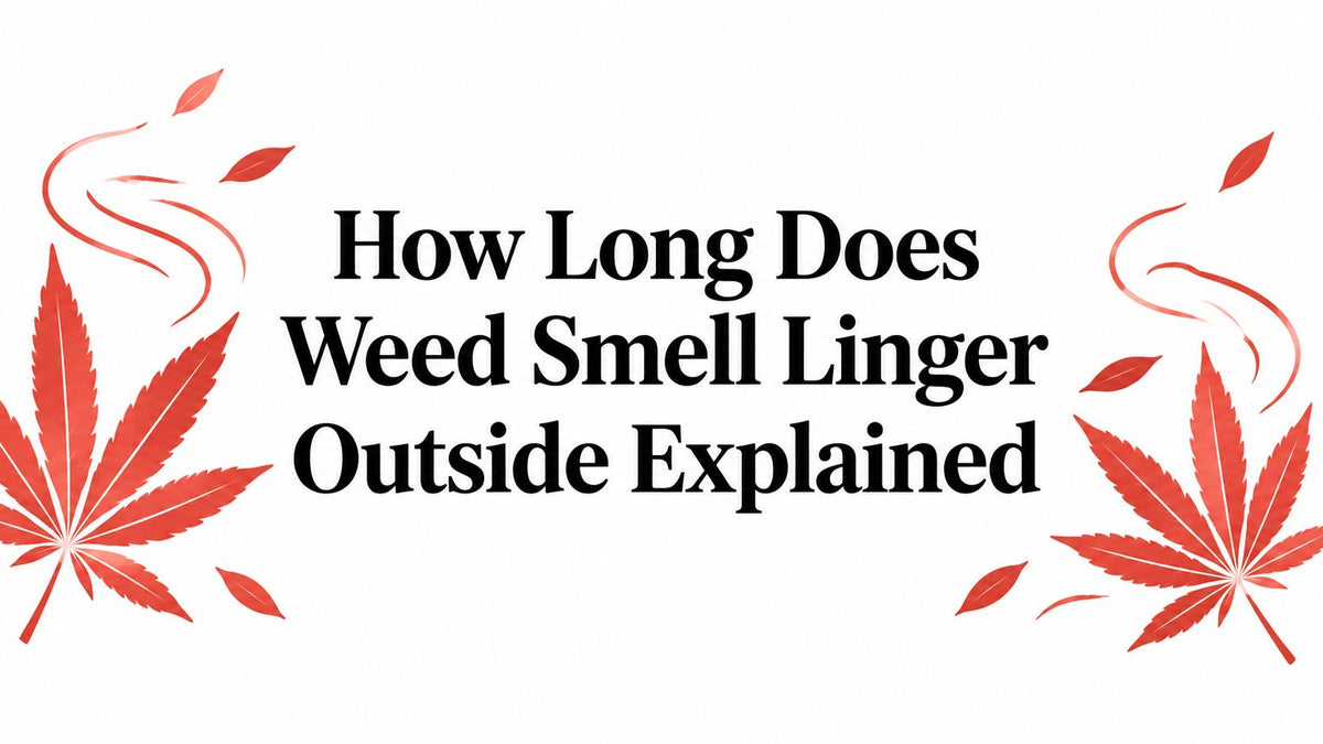 How Long Does Weed Smell Linger Outside Explained