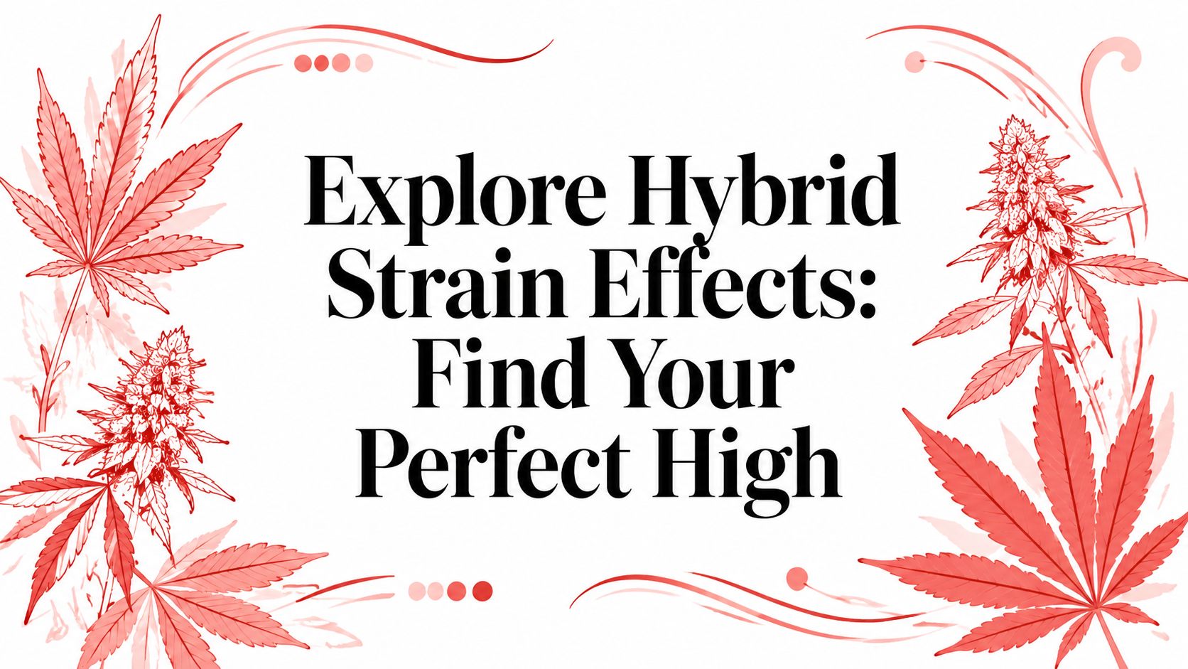 Explore Hybrid Strain Effects: Find Your Perfect High