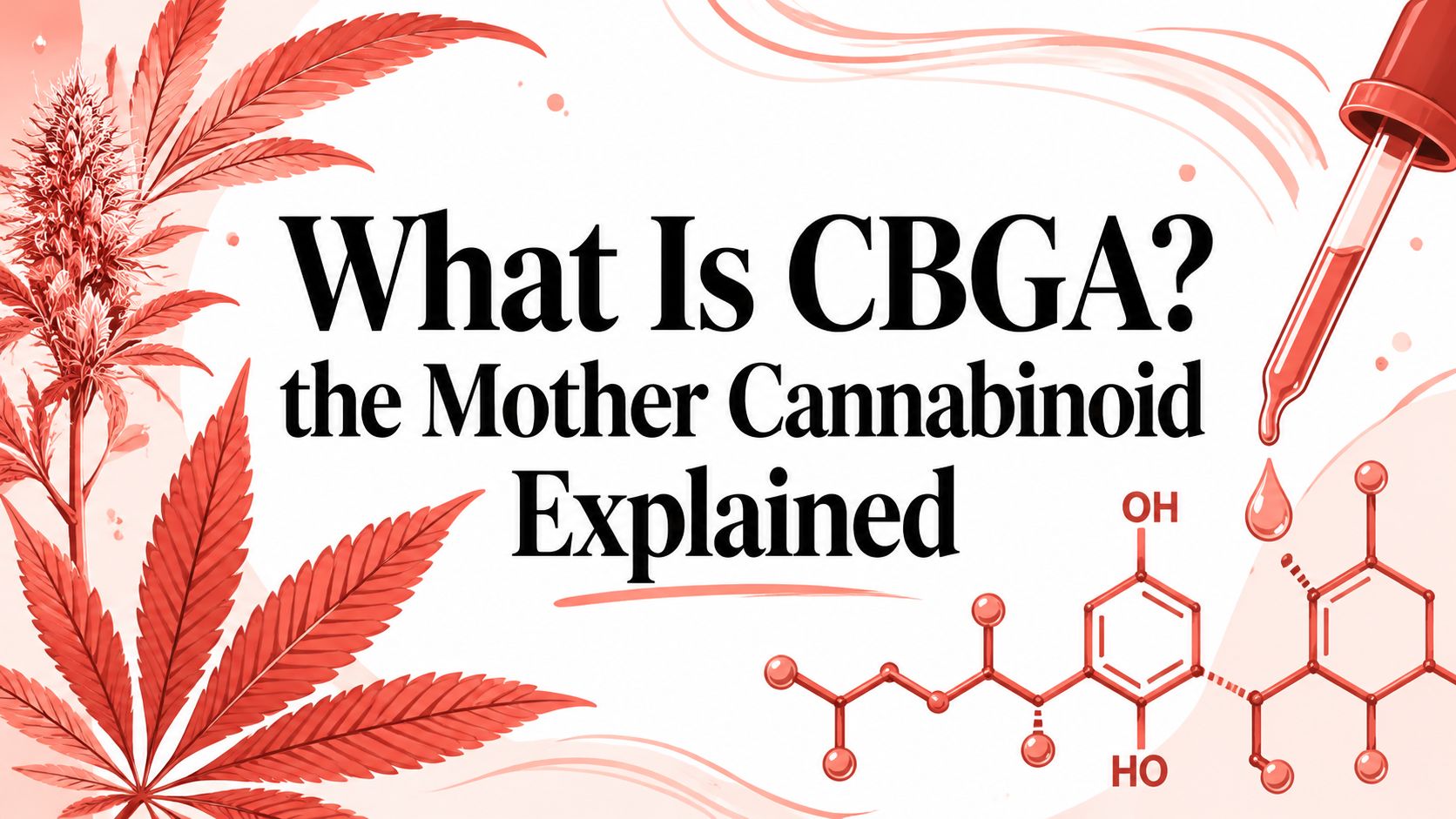 What Is CBGA? the Mother Cannabinoid Explained