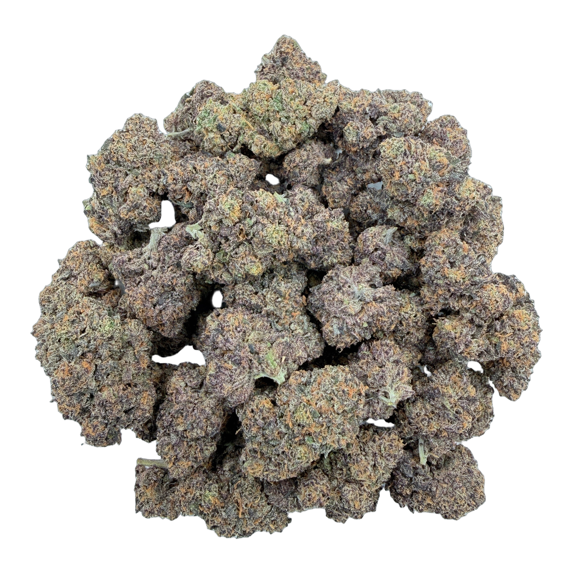 Pie Scream Melt Reserve THCA flower buds — transparent close-up