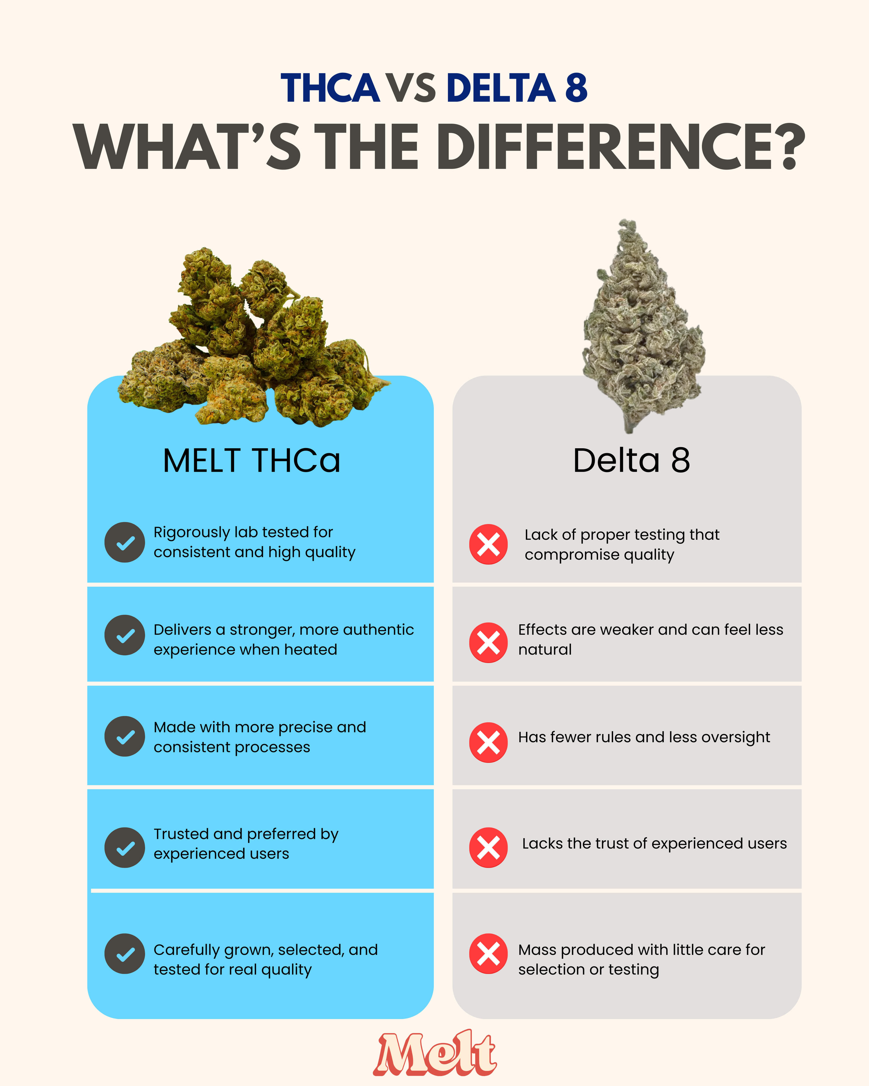 Melt — 2-OPTIONB brand imagery