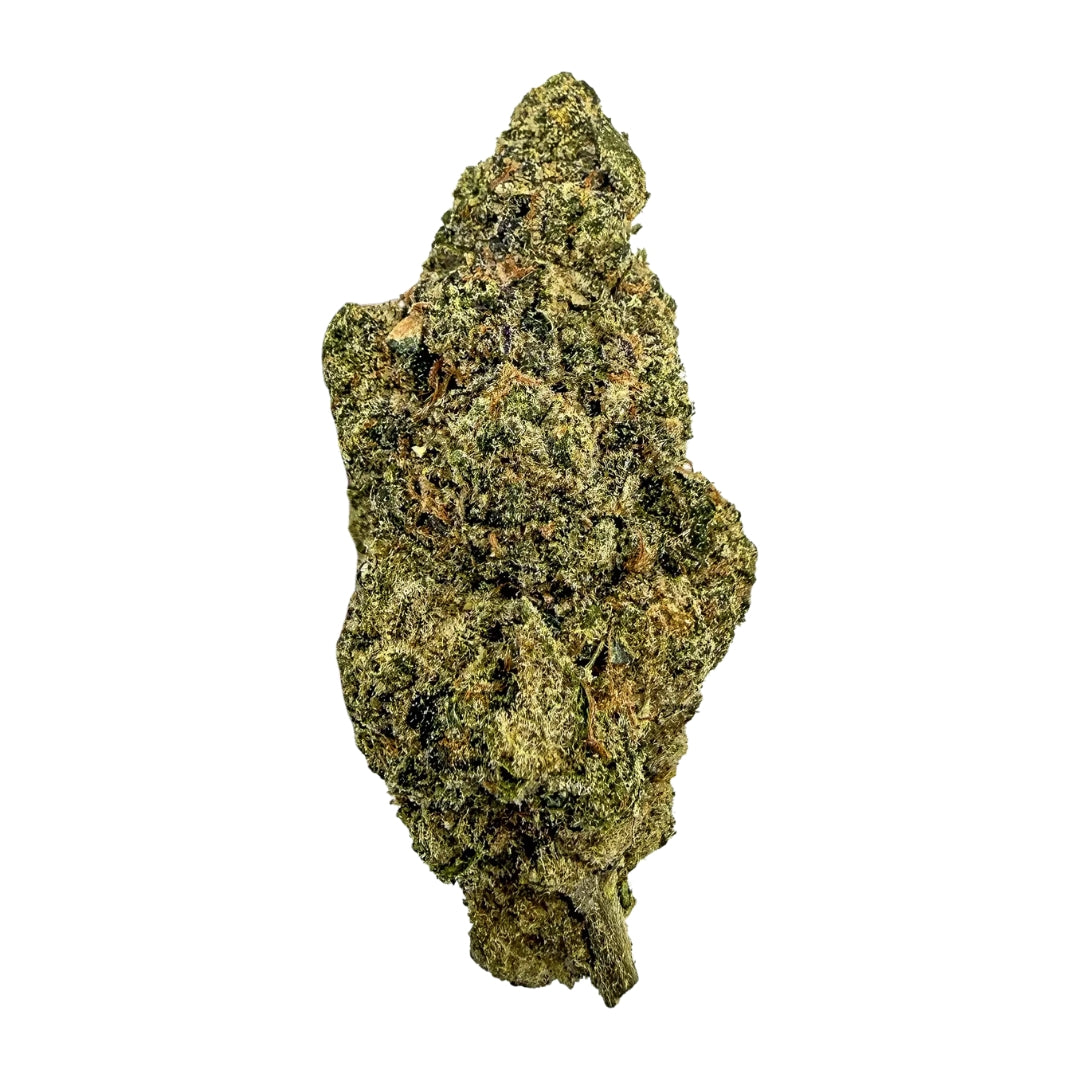 Harlequin Bigs - (28 grams)