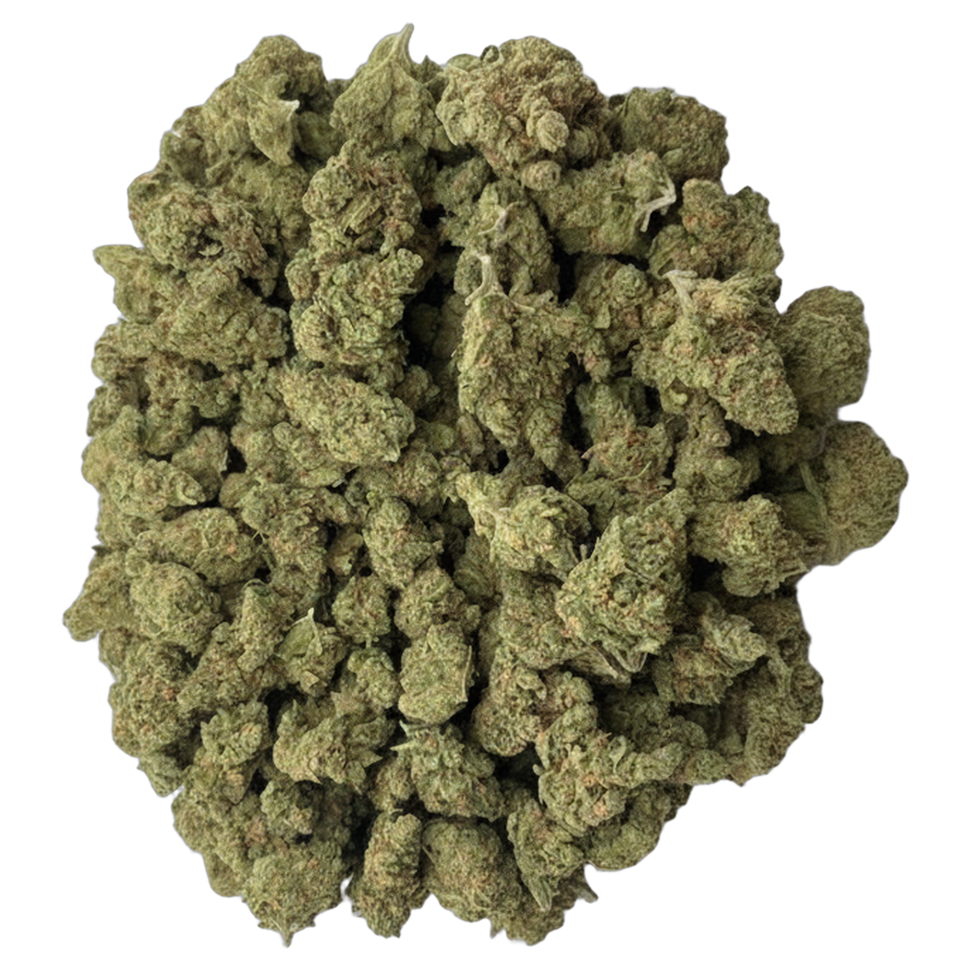 Blue Dream premium indoor THCA flower bulk