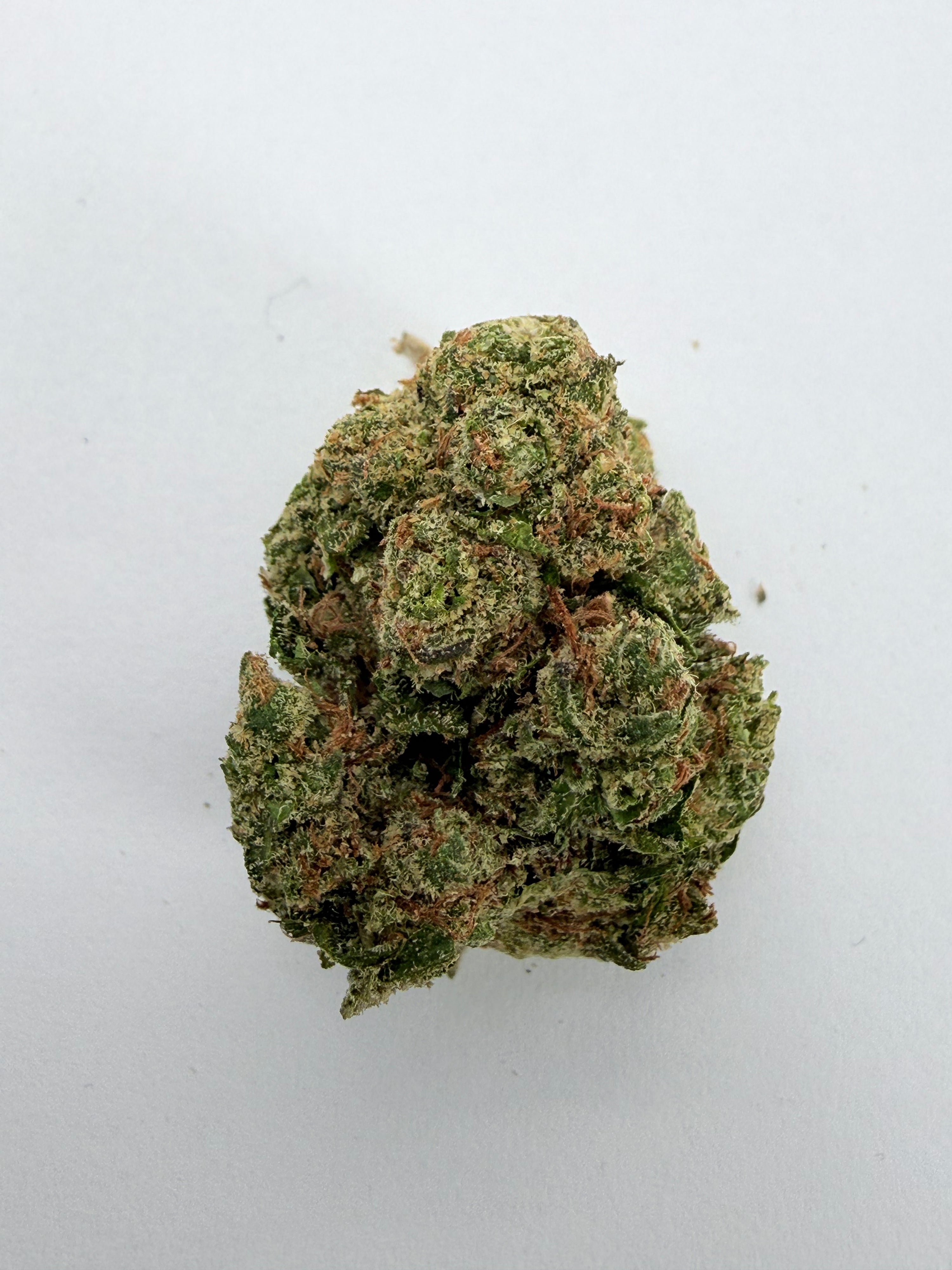 Bubblegum Runtz THCA Flower - Infu ed Boutique Cannabi  3.5g| Euphoric Sweet Creamy Flavor - Melt