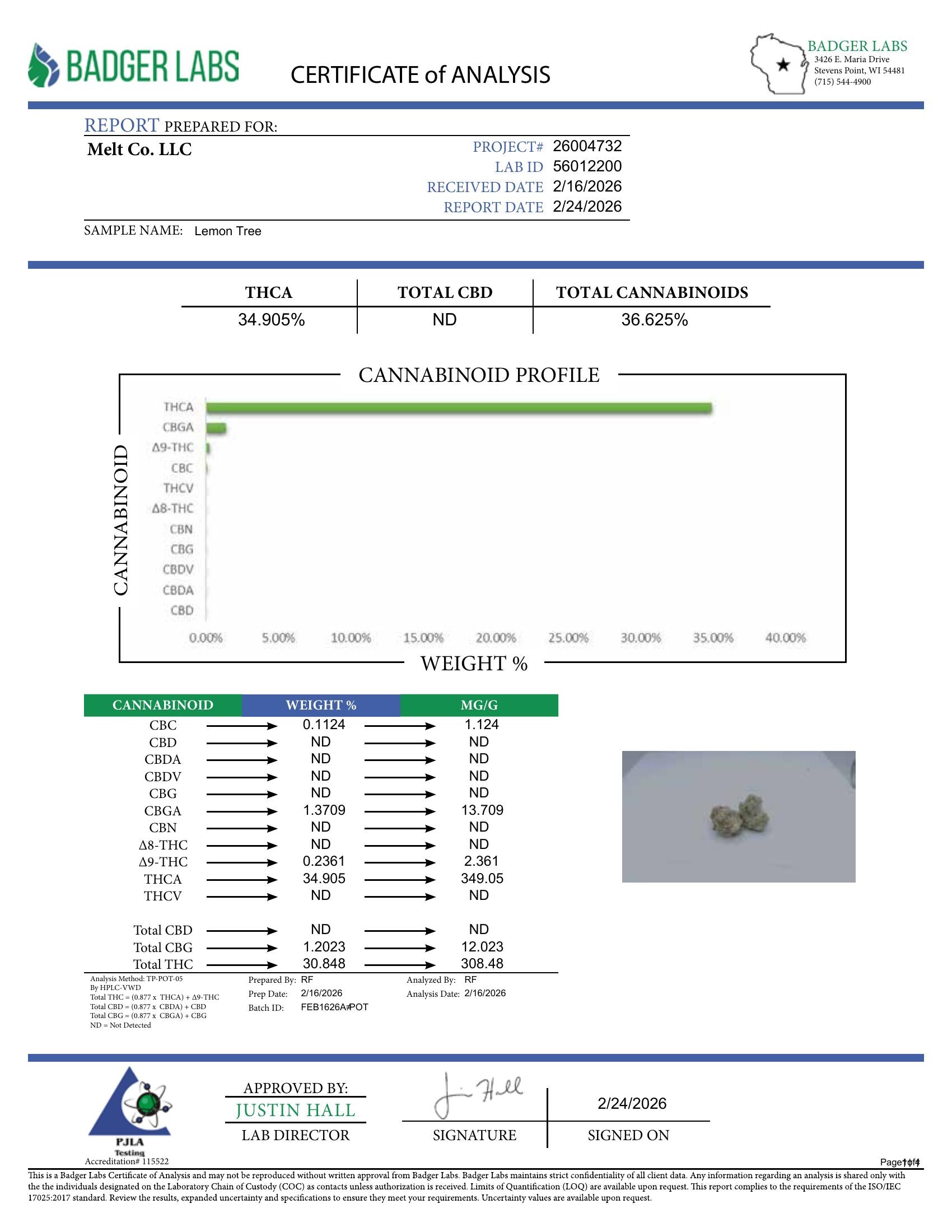 Lab report — Lemon Tree THCA potency analysis