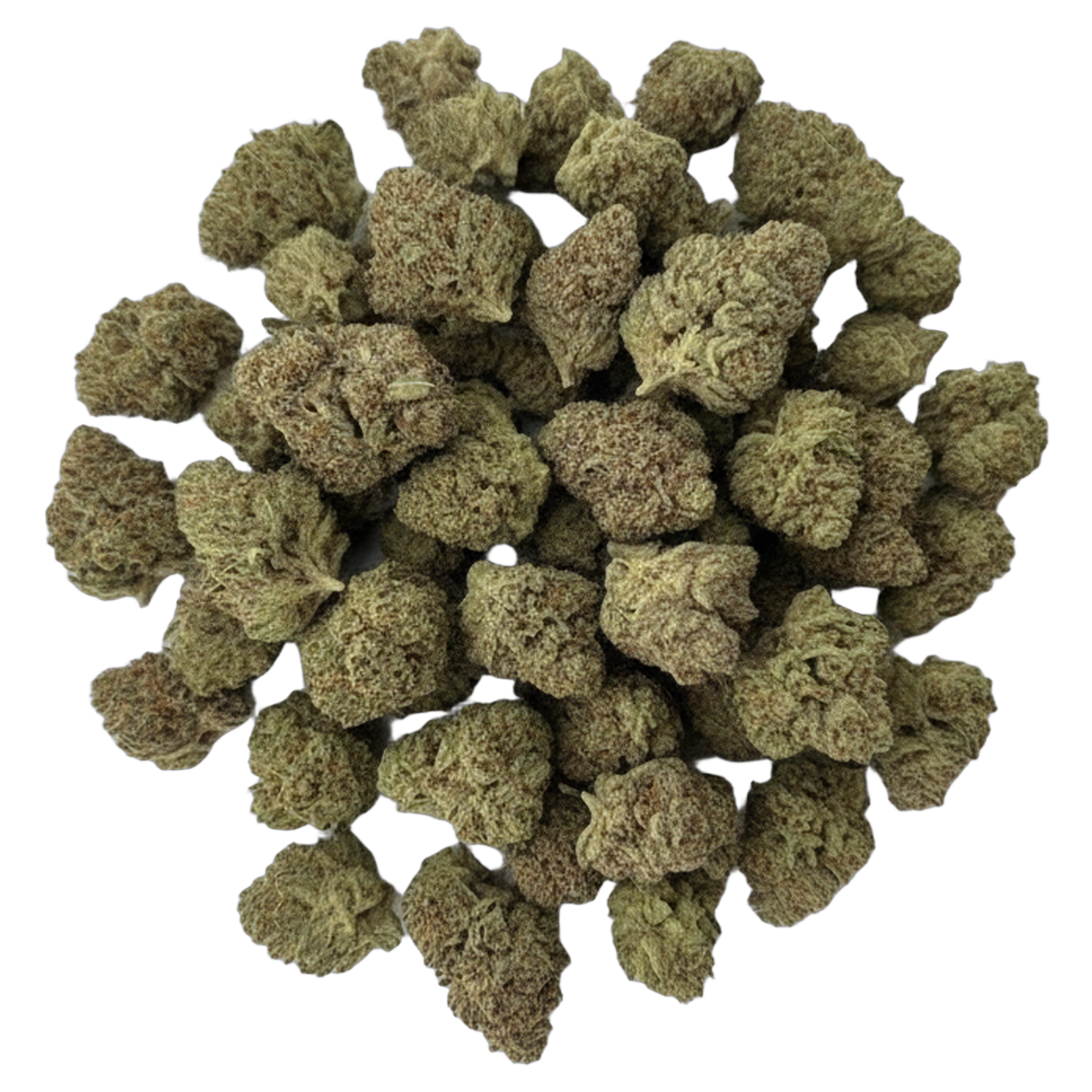 Oreoz premium indoor THCA flower bulk