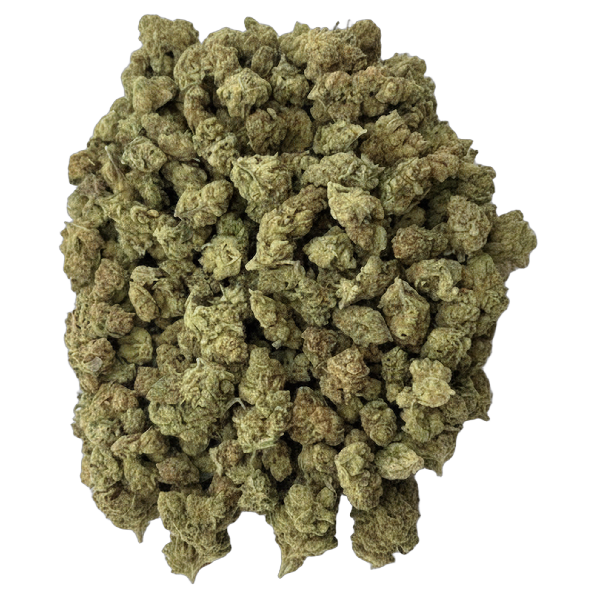 Sunset Sherbet premium indoor THCA flower bulk
