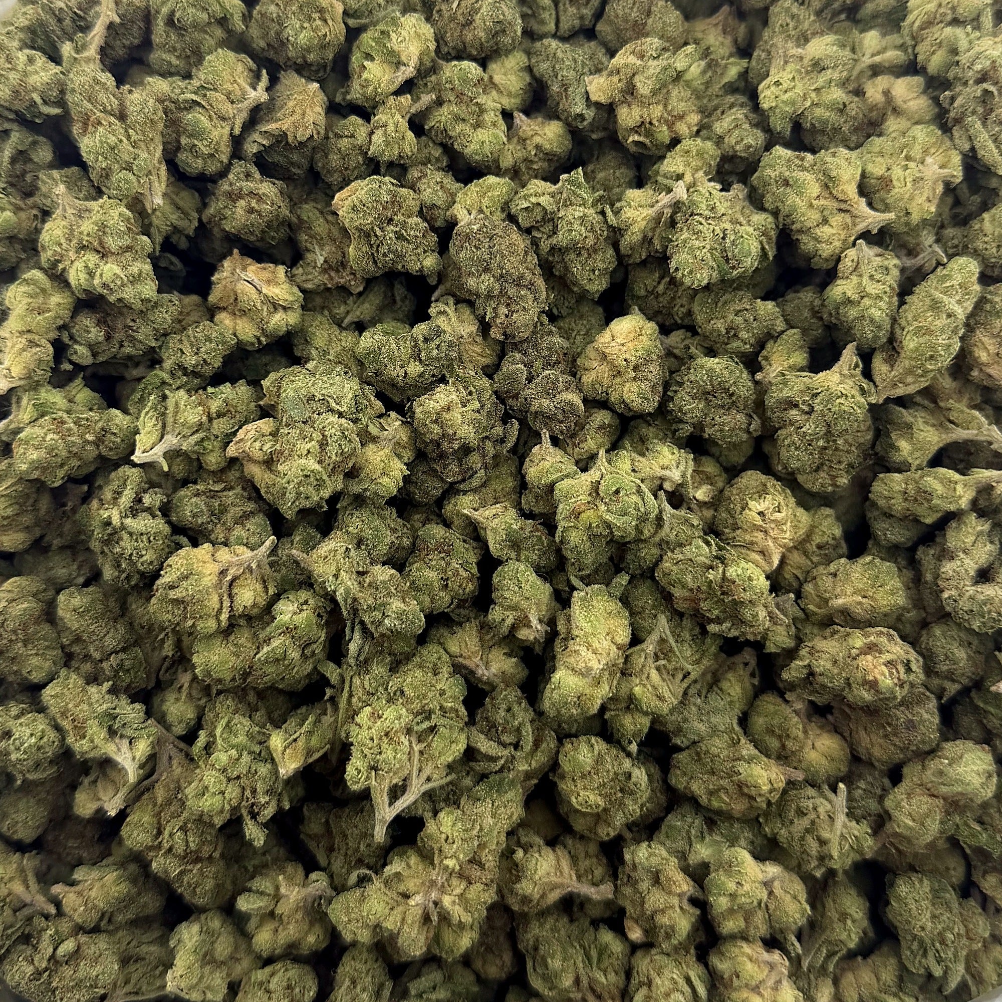 Jack Herer Smalls - (28 grams)